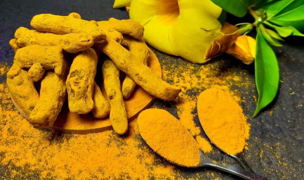 Benefits of Turmeric Powder: Unveiling the Incredible Potential for Health and Wellness