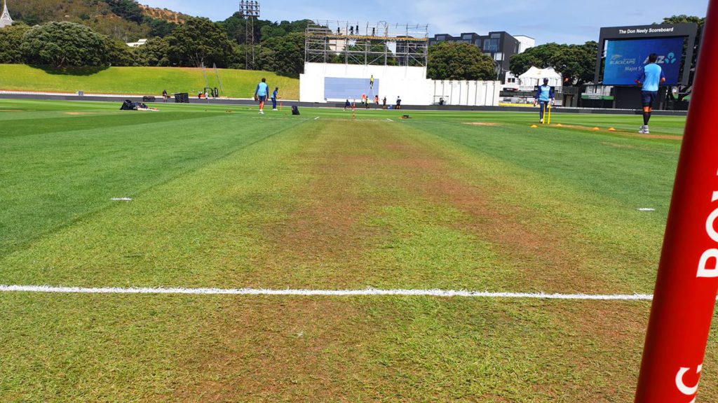 Green Grass Covered Pitch For the First India New Zealand Test Worries Fans