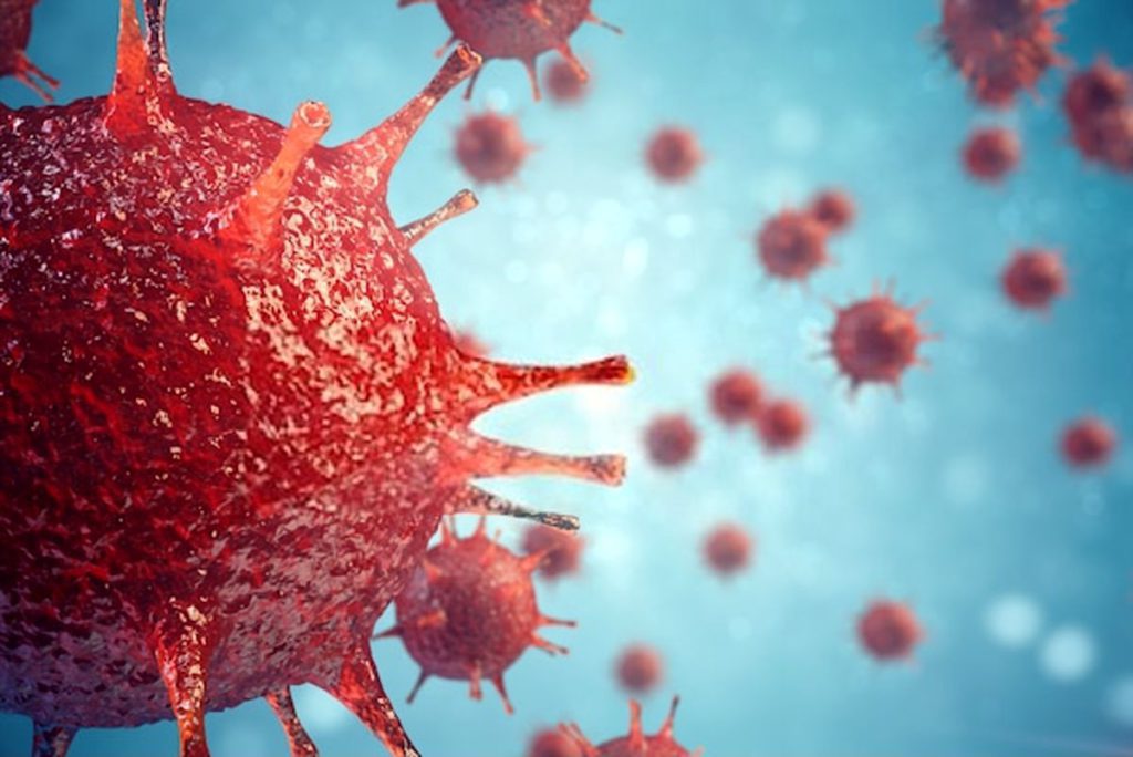 Yaravirus: Now Scientists Discover Mysterious Virus in Brazil with Unknown Genes
