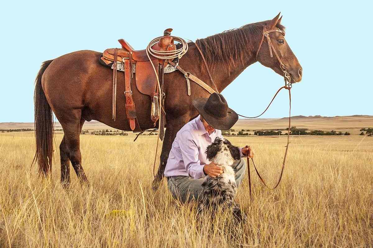 Study Finds Connection Between Empathy and Decoding Animal Sounds
