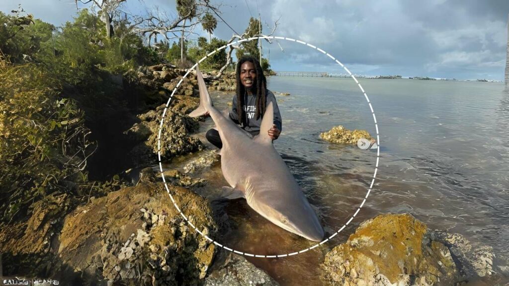 Guy Grabs Live Shark With Bare Hands, Internet Can’t Get Enough