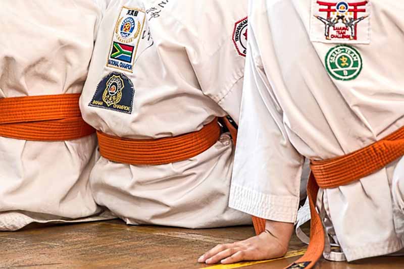 Kalaripayattu vs any other Martial arts