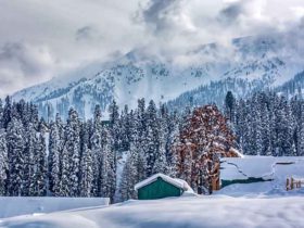 Complete Jammu and Kashmir (J&K) Travel Guide for Non-Indians and Indians