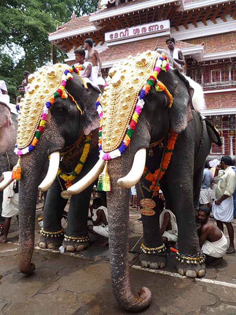 Thrissur elephant march- Best things to see in India