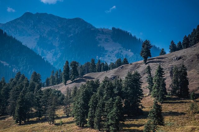 Pahalgam, J&K