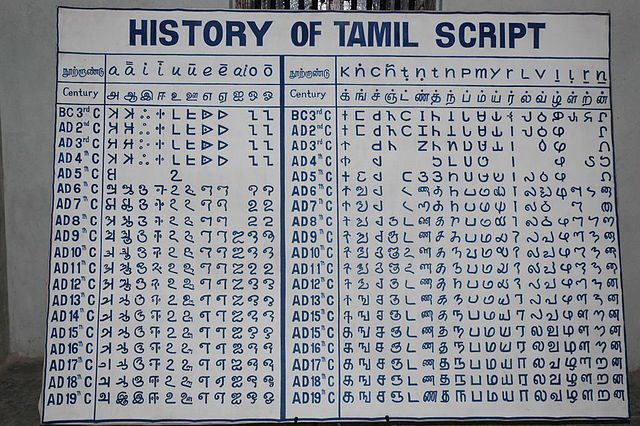 Root words of Tamil are found in languages across the world