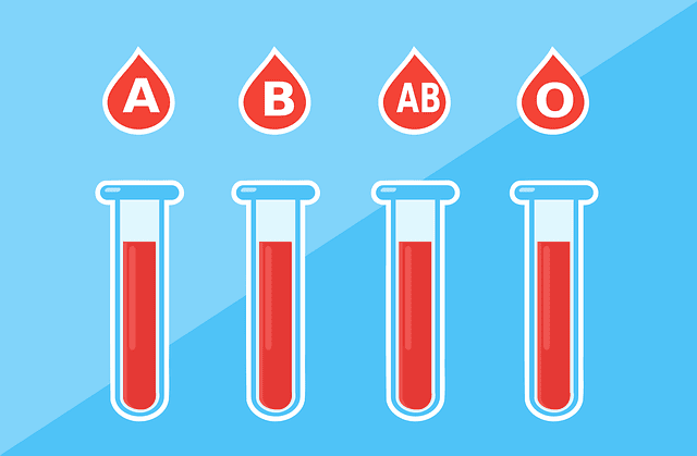 What makes a distinct blood type or blood group