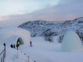 Igloo in Manali - Everything You Wanted to Know About Igloo Stay in India