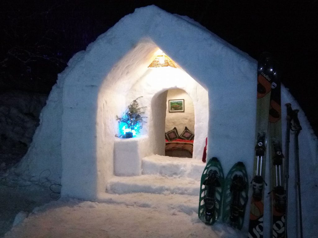 Manali Igloo Stay