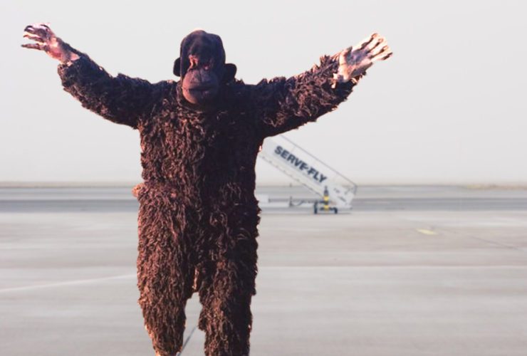 Airport Staff Dress As Bear To Scare Away Langurs