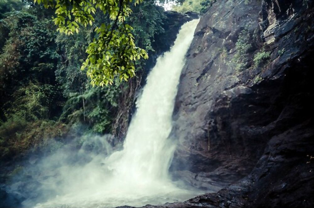 Soochipara Falls, Kerala