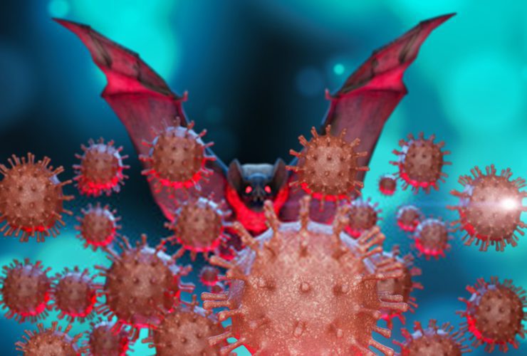 Presence of 'Bat Coronavirus' Found in Two Indian Bat Species
