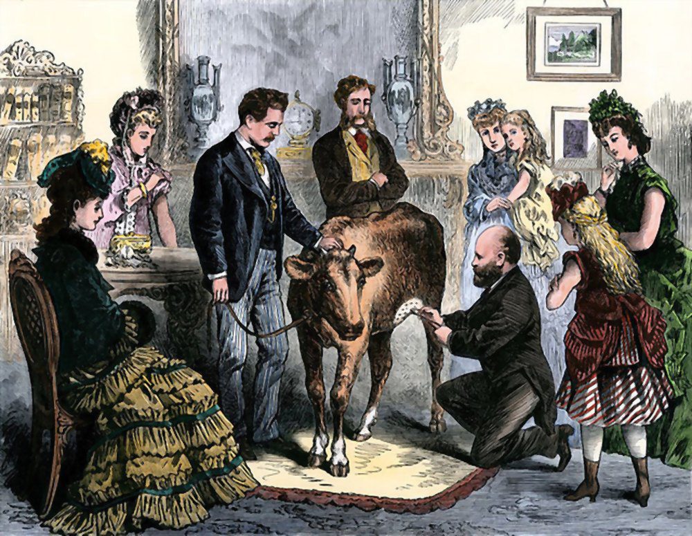 Patients vaccinated against smallpox with live virus from a calf, 1872