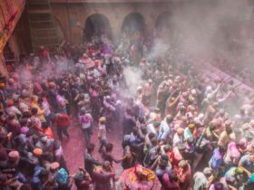 Bankey Bihari Temple Holi Celebration