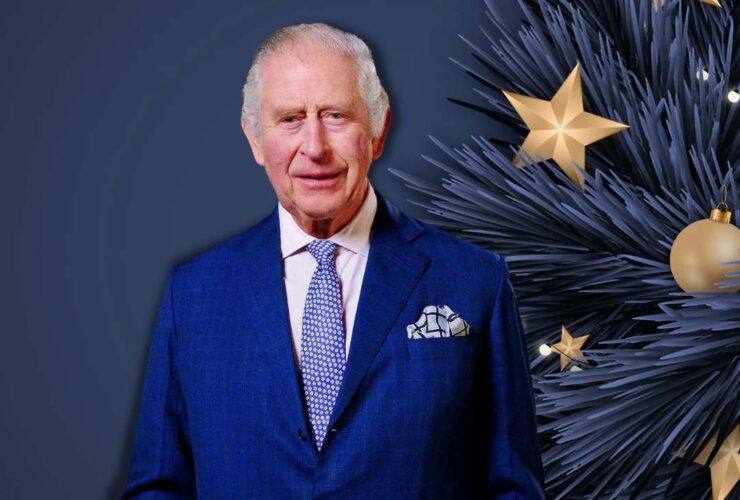 Charles's speech where he spoke about the “great anxiety and hardship” experienced by many trying to “pay their bills and keep their families fed and warm” during his televised message received a warm reception from the followers of the Royal family