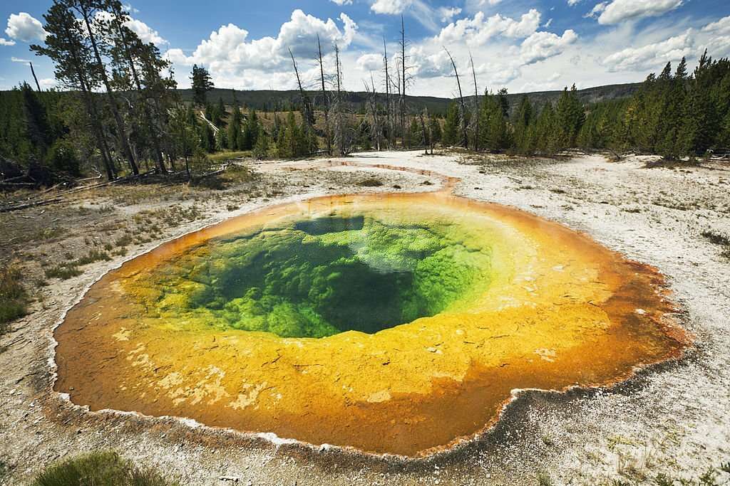 The Morning Glory pool in Yellowstone National Park