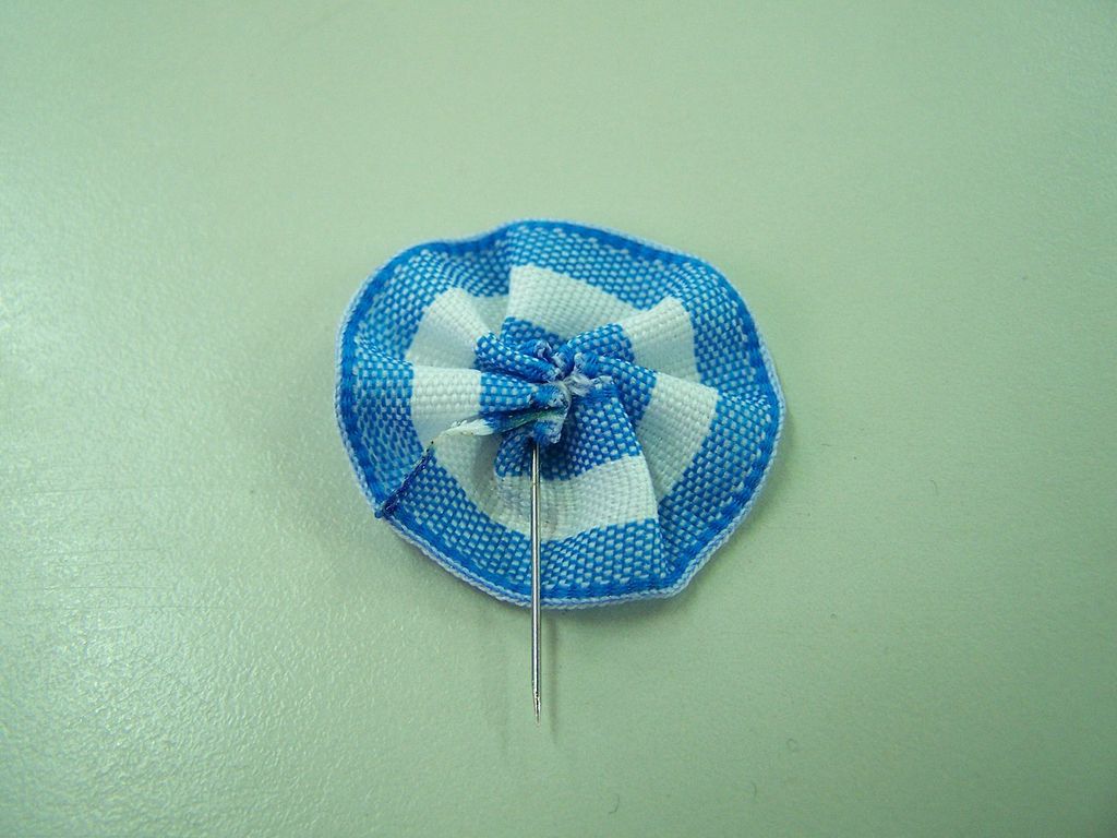The revolutionary government officially adopted the Cockade with blue and white