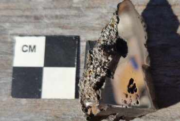 Two New Minerals Discovered in a 15-Metric Ton Meteorite That Landed in Africa