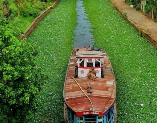 Kerala Backwaters, Kottayam