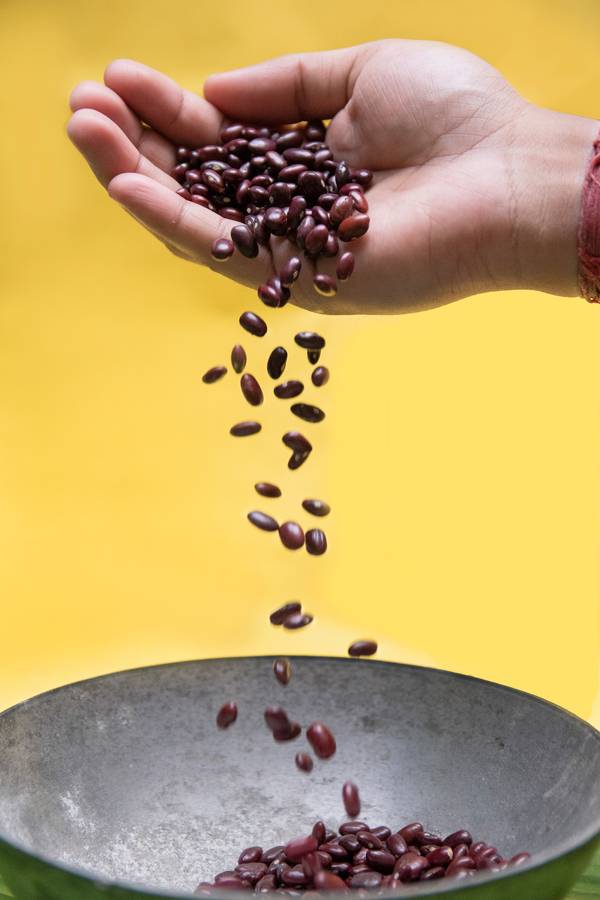 Rajma or Kidney Beans