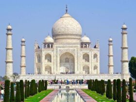 Amazing Things to Do in India