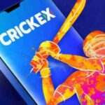 Security and Privacy in the Crickex App