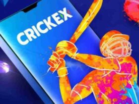Security and Privacy in the Crickex App
